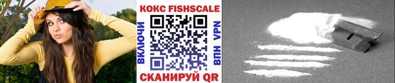 Cocaine FishScale  Сафоново 