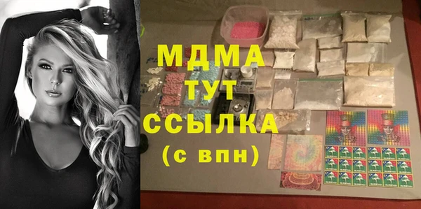 PSILOCYBIN Алзамай