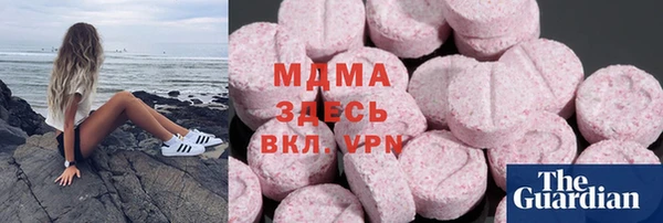PSILOCYBIN Алзамай
